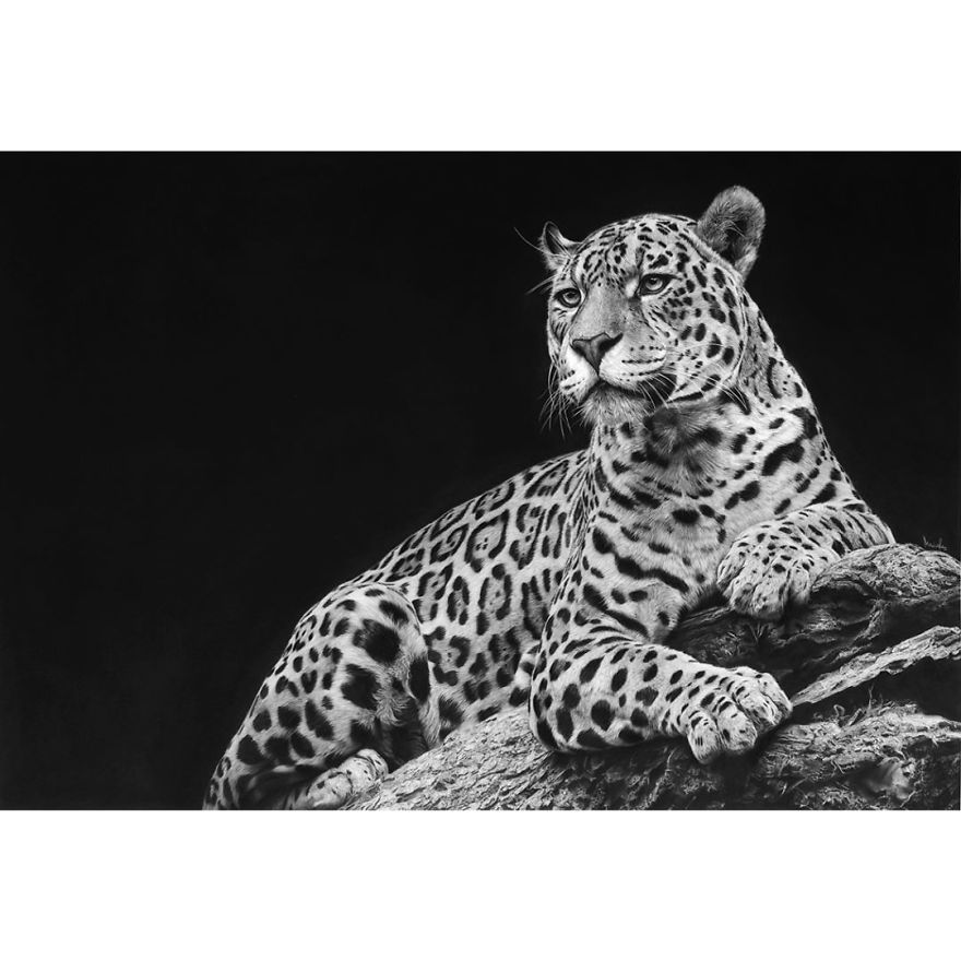 Artist Makes Hyper Realistic Drawings To The Point Where We See The Pores Of The Skin Artist Makes Hyper Realistic Drawings To The Point Where We See The Pores Of The Skin