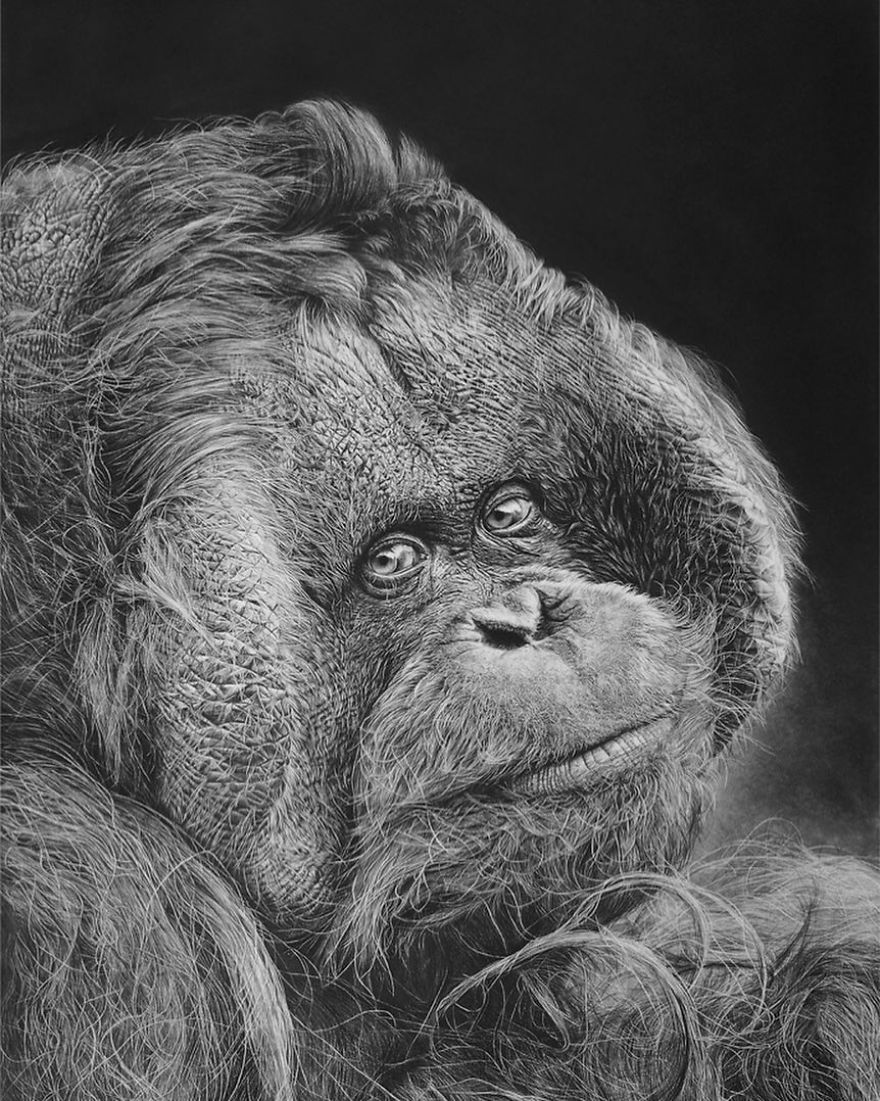 Artist Makes Hyper Realistic Drawings To The Point Where We See The Pores Of The Skin Artist Makes Hyper Realistic Drawings To The Point Where We See The Pores Of The Skin