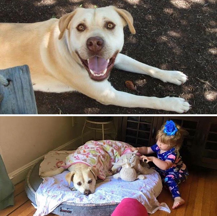 Got Toddlered: Parents Share Photos Of Them Before And After Having Kids, And The Difference Is Hilarious Got Toddlered: Parents Share Photos Of Them Before And After Having Kids, And The Difference Is Hilarious