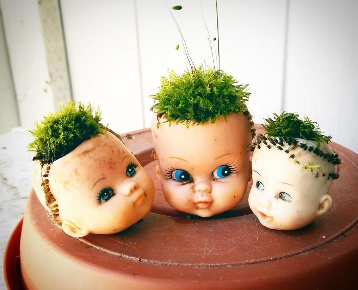145 People Who Turned Old Dolls Into Planters And Scared The Hell Out Of Their Neighbors 145 People Who Turned Old Dolls Into Planters And Scared The Hell Out Of Their Neighbors