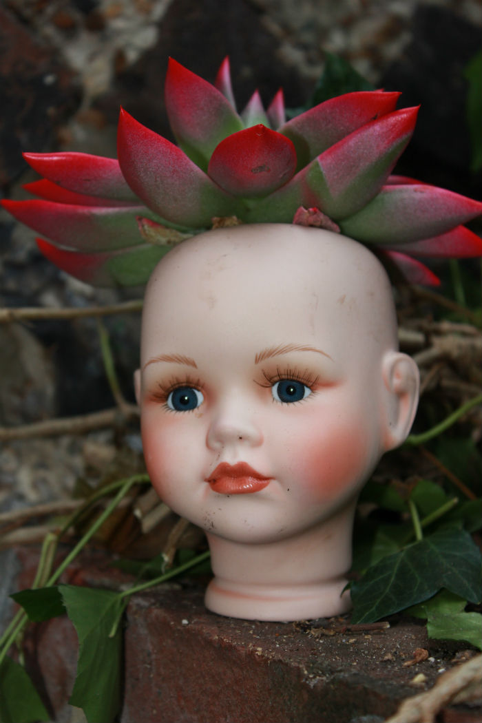 145 People Who Turned Old Dolls Into Planters And Scared The Hell Out Of Their Neighbors 145 People Who Turned Old Dolls Into Planters And Scared The Hell Out Of Their Neighbors