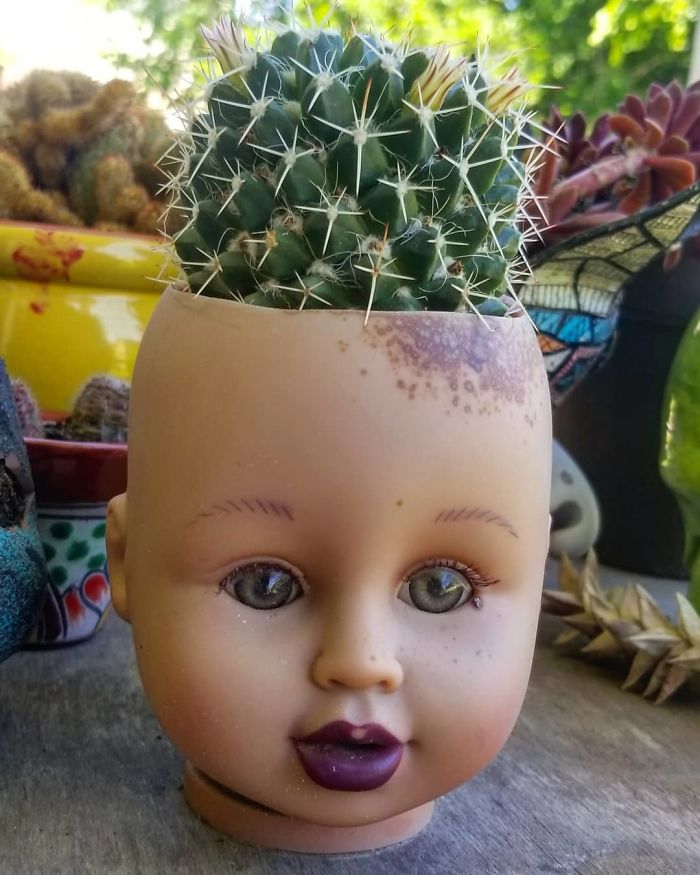 145 People Who Turned Old Dolls Into Planters And Scared The Hell Out Of Their Neighbors 145 People Who Turned Old Dolls Into Planters And Scared The Hell Out Of Their Neighbors