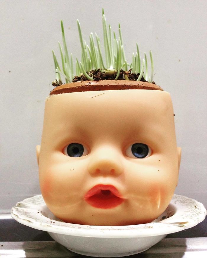 145 People Who Turned Old Dolls Into Planters And Scared The Hell Out Of Their Neighbors 145 People Who Turned Old Dolls Into Planters And Scared The Hell Out Of Their Neighbors