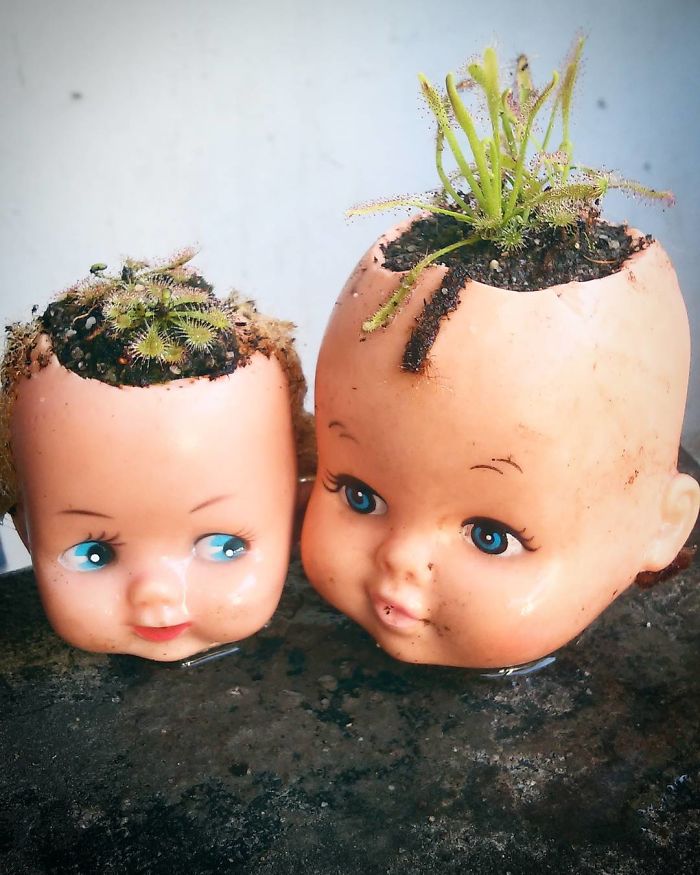 145 People Who Turned Old Dolls Into Planters And Scared The Hell Out Of Their Neighbors 145 People Who Turned Old Dolls Into Planters And Scared The Hell Out Of Their Neighbors