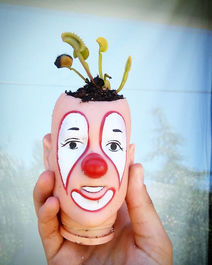 145 People Who Turned Old Dolls Into Planters And Scared The Hell Out Of Their Neighbors 145 People Who Turned Old Dolls Into Planters And Scared The Hell Out Of Their Neighbors