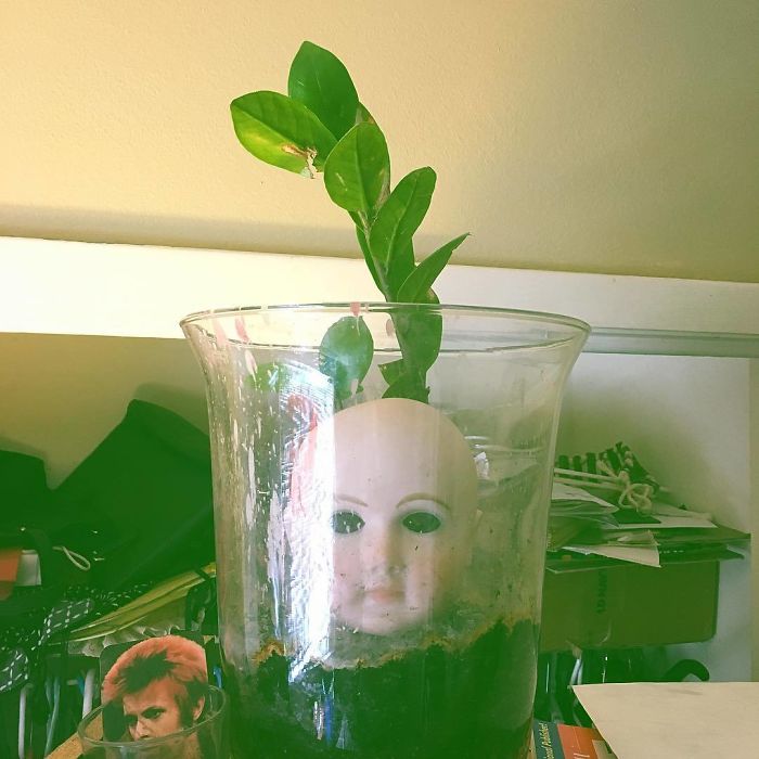 145 People Who Turned Old Dolls Into Planters And Scared The Hell Out Of Their Neighbors 145 People Who Turned Old Dolls Into Planters And Scared The Hell Out Of Their Neighbors