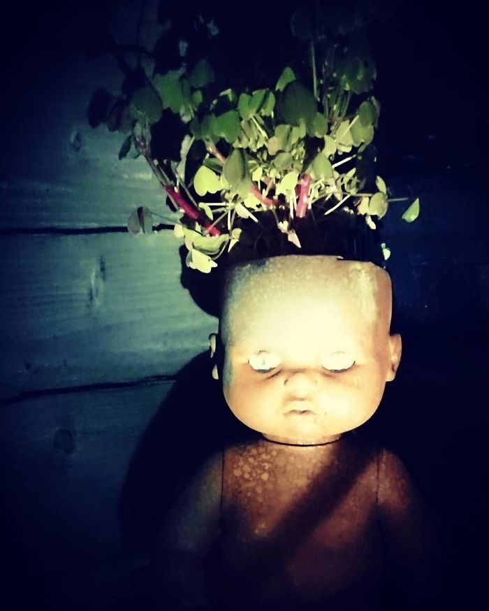 145 People Who Turned Old Dolls Into Planters And Scared The Hell Out Of Their Neighbors 145 People Who Turned Old Dolls Into Planters And Scared The Hell Out Of Their Neighbors