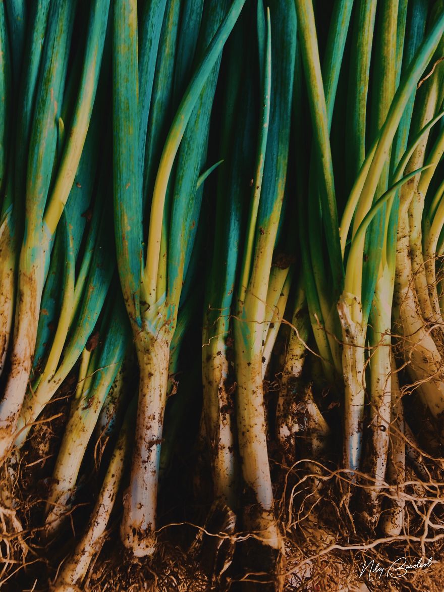 I Took Early Morning Pictures Of Intimate Market Scene  In Philippines Using My Iphone