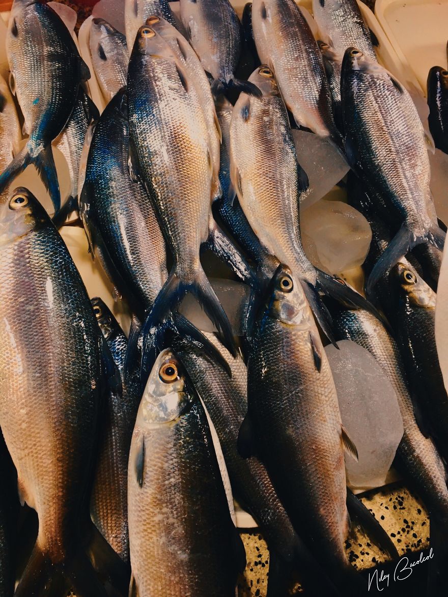 I Took Early Morning Pictures Of Intimate Market Scene  In Philippines Using My Iphone