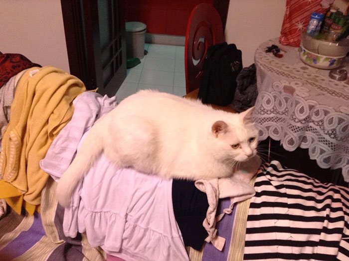 What This Guy Accidentally Sends To His Professor Has Internet In Tears, But Her Response Takes It To Next Level What This Guy Accidentally Sends To His Professor Has Internet In Tears, But Her Response Takes It To Next Level