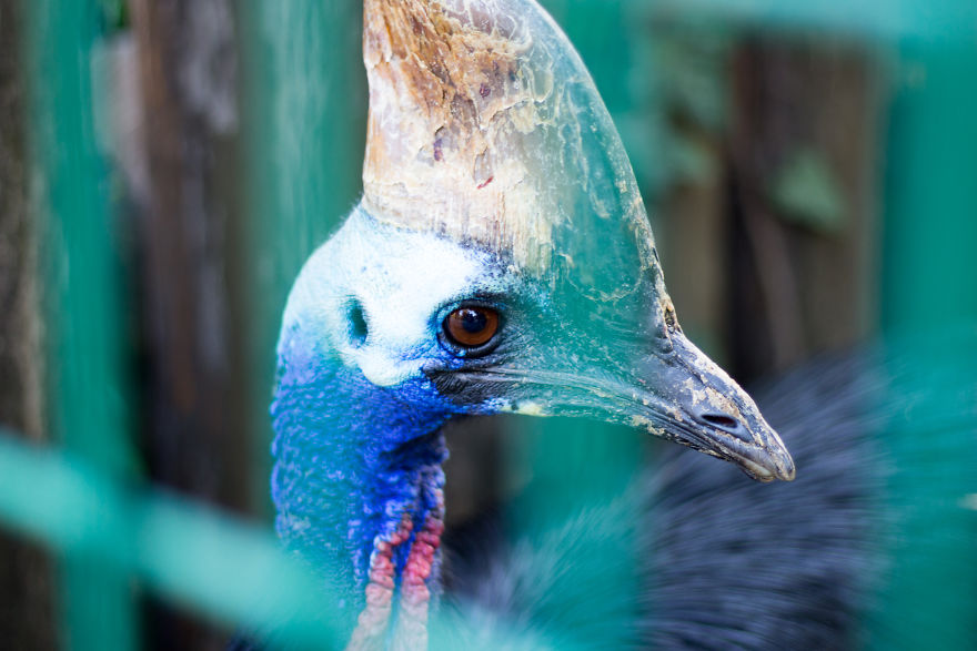 I Went To The Budapest Zoo To Take Some Real Pics. I Went To The Budapest Zoo To Take Some Real Pics.