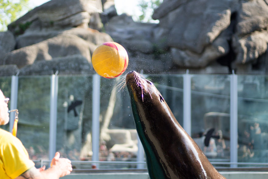 I Went To The Budapest Zoo To Take Some Real Pics. I Went To The Budapest Zoo To Take Some Real Pics.