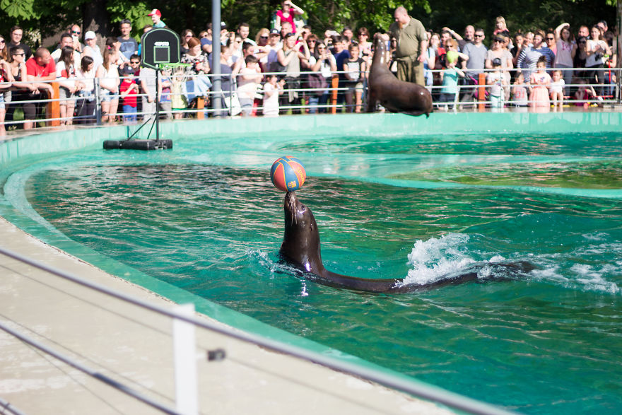 I Went To The Budapest Zoo To Take Some Real Pics. I Went To The Budapest Zoo To Take Some Real Pics.
