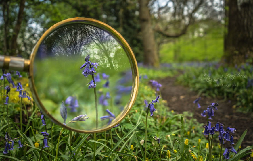 I Found This Magnifying Glass At A Flea Market, And Decided To Capture The Beauty Of Spring