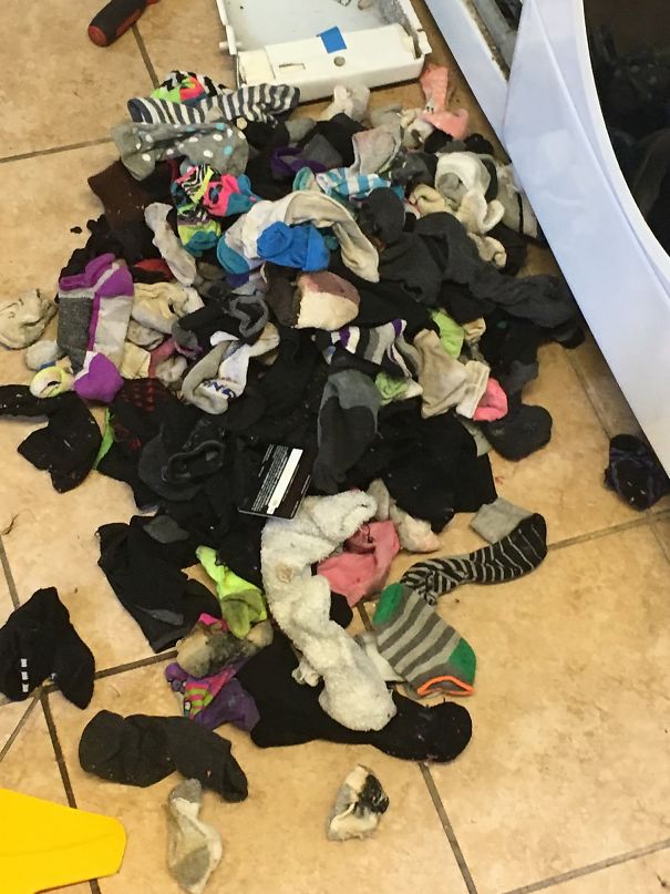 Turns Out Washing Machines Do Eat Socks, But There Were More Surprising Things That We Found… Turns Out Washing Machines Do Eat Socks, But There Were More Surprising Things That We Found…