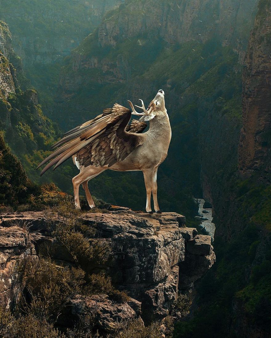 This Turkish Artist Shows The Wonders Of Surreal World This Turkish Artist Shows The Wonders Of Surreal World