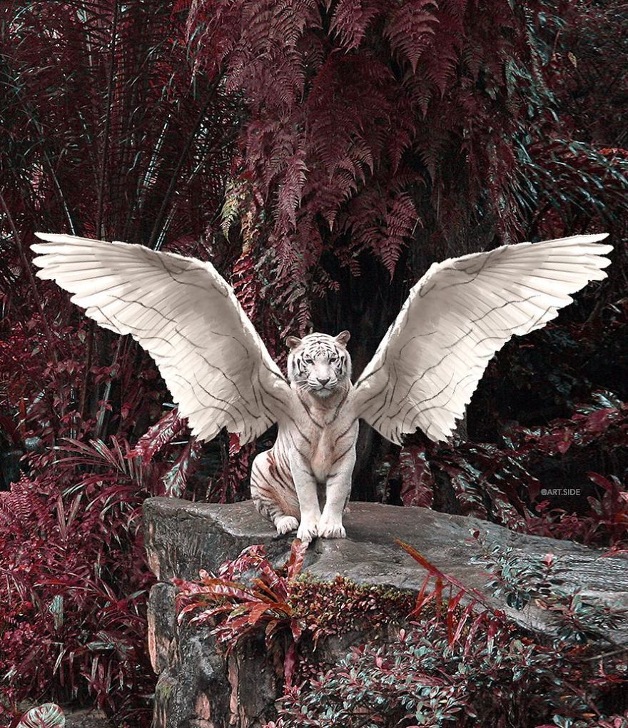 This Turkish Artist Shows The Wonders Of Surreal World This Turkish Artist Shows The Wonders Of Surreal World