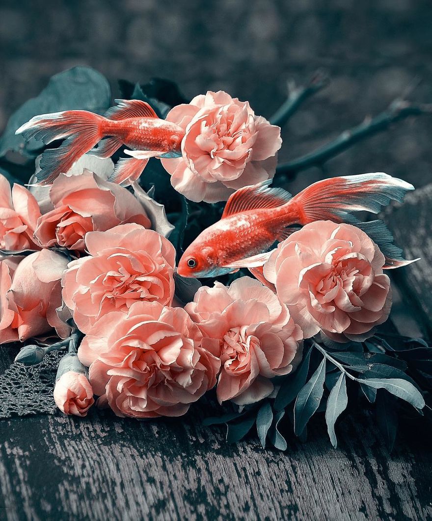 This Turkish Artist Shows The Wonders Of Surreal World This Turkish Artist Shows The Wonders Of Surreal World