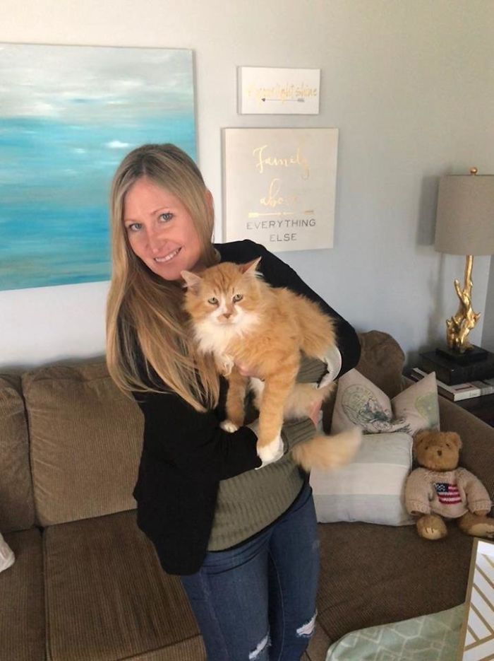 After A Family Abandons Their Cat, He Walks Back 12 Miles Just To Be Rejected Again After A Family Abandons Their Cat, He Walks Back 12 Miles Just To Be Rejected Again