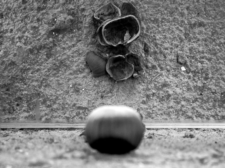 I Use My Smartphone To Take Black And White Photos I Use My Smartphone To Take Black And White Photos