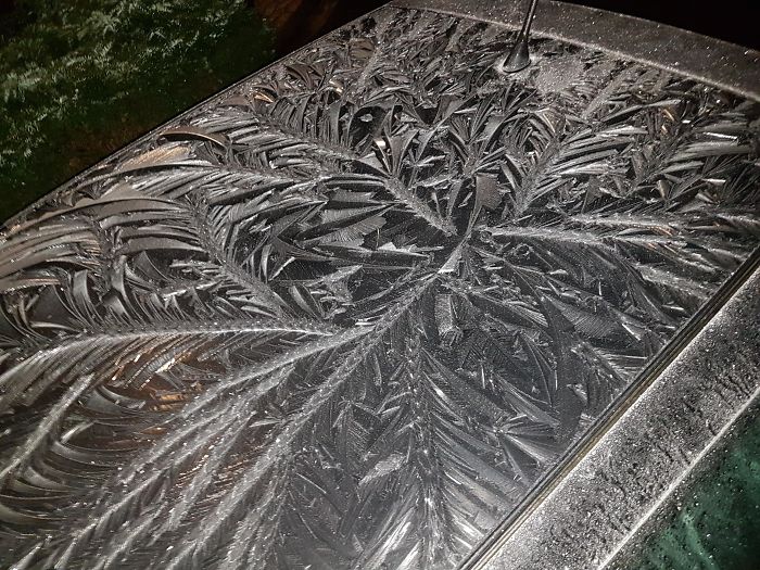 30 Times Accidental Art Was Better Than Your Actual Art 30 Times Accidental Art Was Better Than Your Actual Art