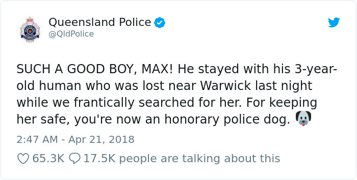 This Dog Protected A Toddler For 15 Hours In The Wild And Is Now An Honorary Police Doggo This Dog Protected A Toddler For 15 Hours In The Wild And Is Now An Honorary Police Doggo