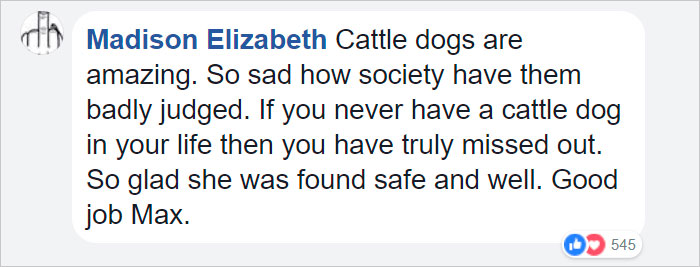 This Dog Protected A Toddler For 15 Hours In The Wild And Is Now An Honorary Police Doggo This Dog Protected A Toddler For 15 Hours In The Wild And Is Now An Honorary Police Doggo