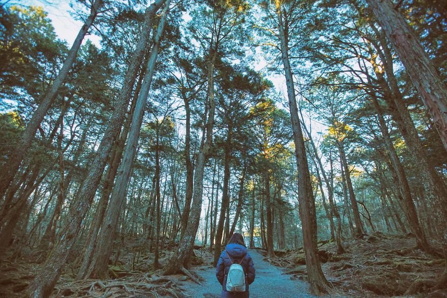 The No-Face Tourist In Japan