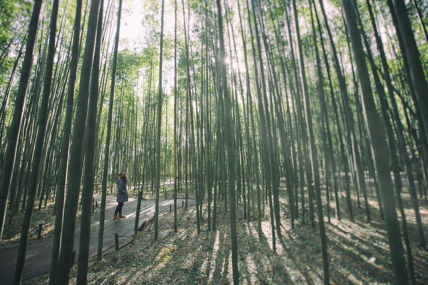 The No-Face Tourist In Japan
