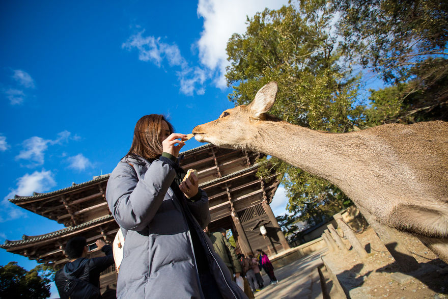 The No-Face Tourist In Japan