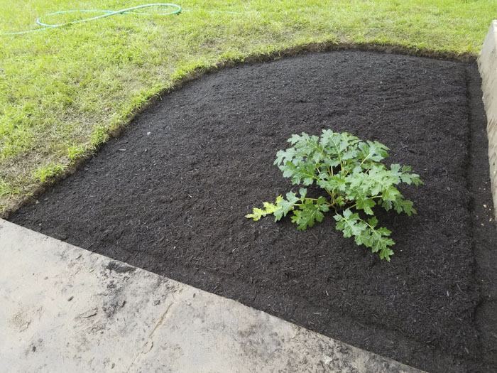 Man Grows A Garden To Keep Promise For His Late Wife, Gets Heartwarming Help From A “Plant Fairy” Man Grows A Garden To Keep Promise For His Late Wife, Gets Heartwarming Help From A “Plant Fairy”