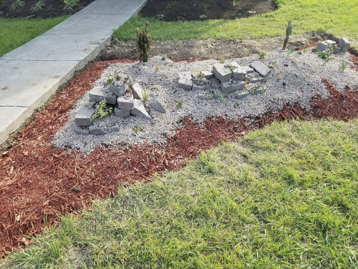 Man Grows A Garden To Keep Promise For His Late Wife, Gets Heartwarming Help From A “Plant Fairy” Man Grows A Garden To Keep Promise For His Late Wife, Gets Heartwarming Help From A “Plant Fairy”
