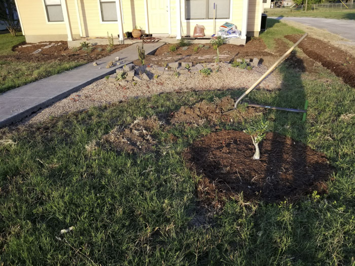 Man Grows A Garden To Keep Promise For His Late Wife, Gets Heartwarming Help From A “Plant Fairy” Man Grows A Garden To Keep Promise For His Late Wife, Gets Heartwarming Help From A “Plant Fairy”