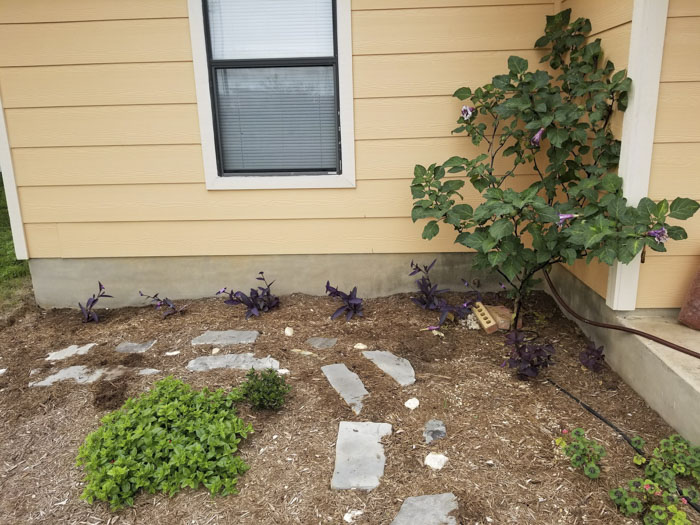 Man Grows A Garden To Keep Promise For His Late Wife, Gets Heartwarming Help From A “Plant Fairy” Man Grows A Garden To Keep Promise For His Late Wife, Gets Heartwarming Help From A “Plant Fairy”