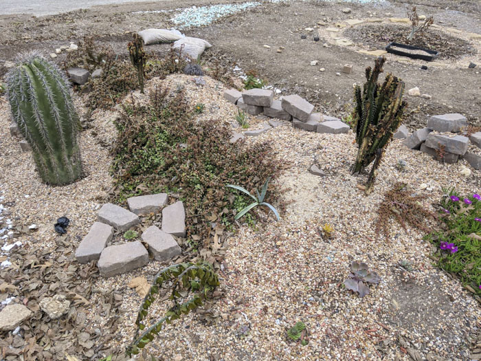 Man Grows A Garden To Keep Promise For His Late Wife, Gets Heartwarming Help From A “Plant Fairy” Man Grows A Garden To Keep Promise For His Late Wife, Gets Heartwarming Help From A “Plant Fairy”