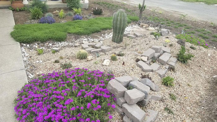 Man Grows A Garden To Keep Promise For His Late Wife, Gets Heartwarming Help From A “Plant Fairy” Man Grows A Garden To Keep Promise For His Late Wife, Gets Heartwarming Help From A “Plant Fairy”