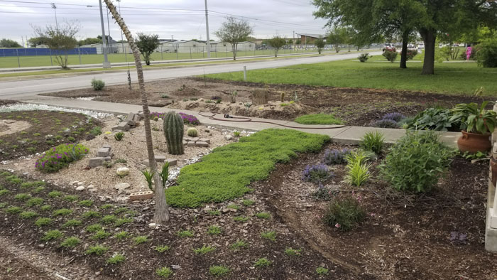Man Grows A Garden To Keep Promise For His Late Wife, Gets Heartwarming Help From A “Plant Fairy” Man Grows A Garden To Keep Promise For His Late Wife, Gets Heartwarming Help From A “Plant Fairy”