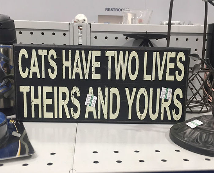 45 Times People Couldn’t Believe Their Luck In Thrift Stores, Flea Markets And Garage Sales 45 Times People Couldn’t Believe Their Luck In Thrift Stores, Flea Markets And Garage Sales