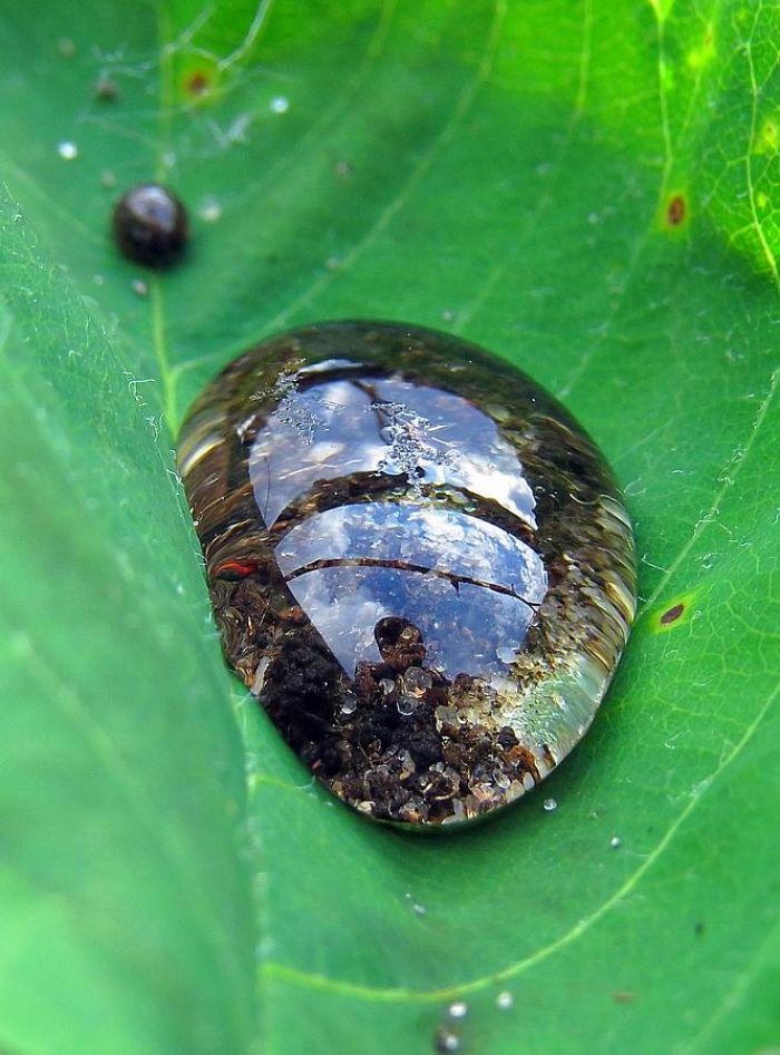 Micro Universe Micro Universe