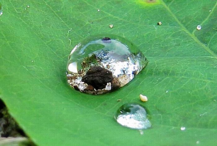 Micro Universe Micro Universe