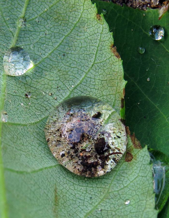 Micro Universe Micro Universe