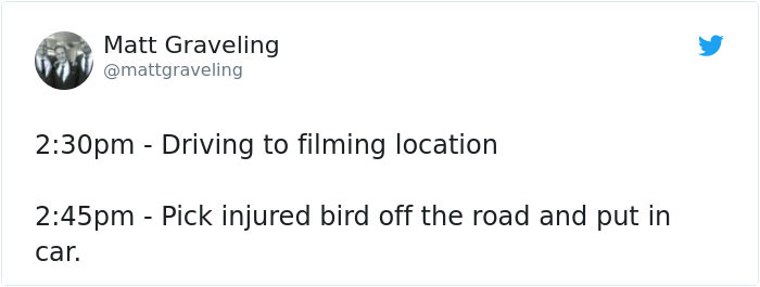 Man Rescued Injured Bird, And Now He Probably Wishes He Hadn’t Man Rescued Injured Bird, And Now He Probably Wishes He Hadn’t