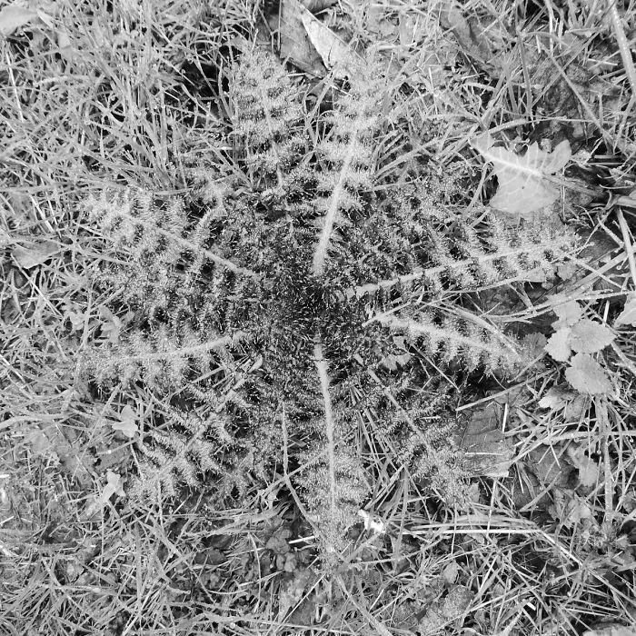 Guy Sees Hidden Place On OS Map In Middle Of Nowhere, Cannot Resist Urge To Investigate Guy Sees Hidden Place On OS Map In Middle Of Nowhere, Cannot Resist Urge To Investigate