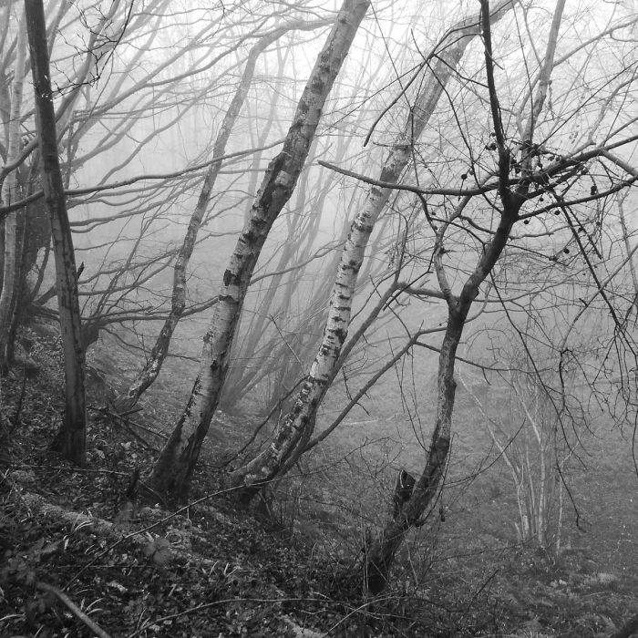 Guy Sees Hidden Place On OS Map In Middle Of Nowhere, Cannot Resist Urge To Investigate Guy Sees Hidden Place On OS Map In Middle Of Nowhere, Cannot Resist Urge To Investigate