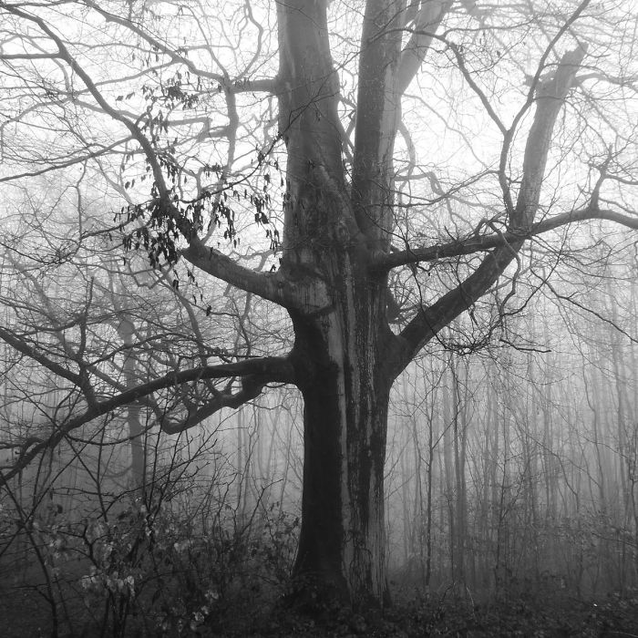 Guy Sees Hidden Place On OS Map In Middle Of Nowhere, Cannot Resist Urge To Investigate Guy Sees Hidden Place On OS Map In Middle Of Nowhere, Cannot Resist Urge To Investigate