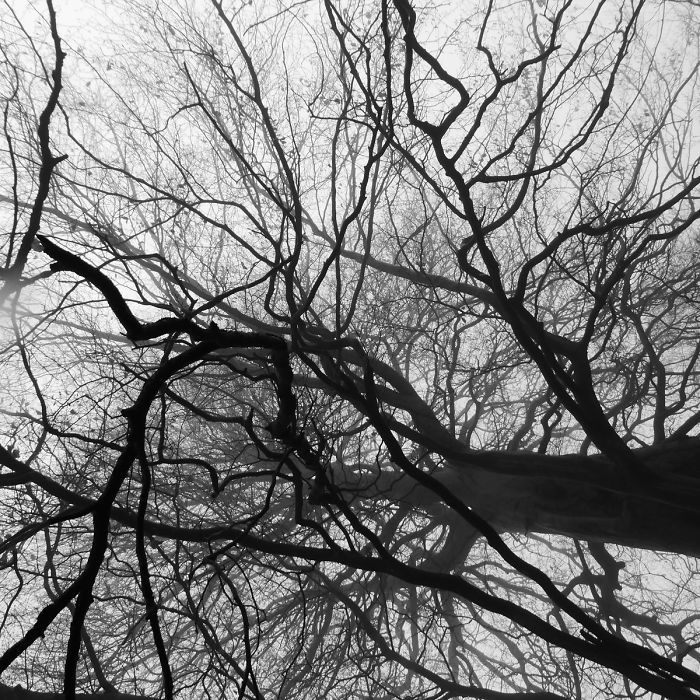 Guy Sees Hidden Place On OS Map In Middle Of Nowhere, Cannot Resist Urge To Investigate Guy Sees Hidden Place On OS Map In Middle Of Nowhere, Cannot Resist Urge To Investigate