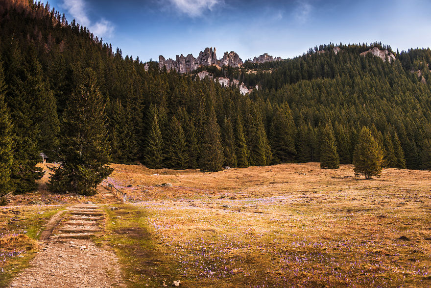 I Capture The Surreal Beauty Of Spring In Mountain Meadows In Poland I Capture The Surreal Beauty Of Spring In Mountain Meadows In Poland