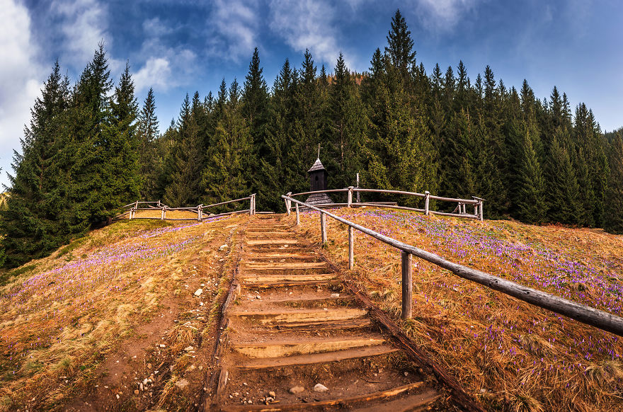 I Capture The Surreal Beauty Of Spring In Mountain Meadows In Poland I Capture The Surreal Beauty Of Spring In Mountain Meadows In Poland