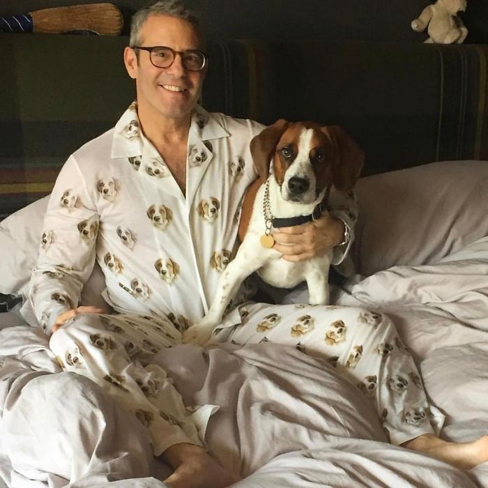 This Company Makes Custom PJ’s With Your Pet’s Face On It And We Need One Now This Company Makes Custom PJ’s With Your Pet’s Face On It And We Need One Now
