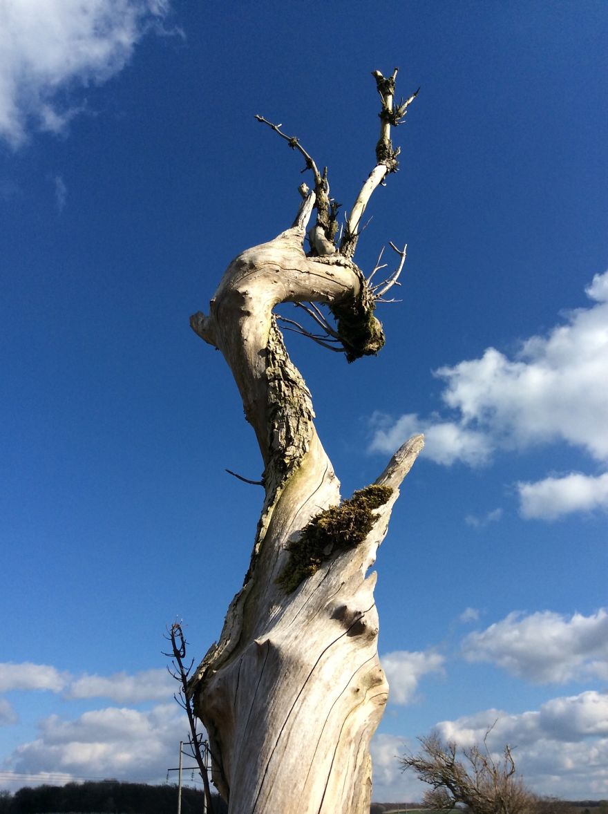 People, Places And Things People, Places And Things